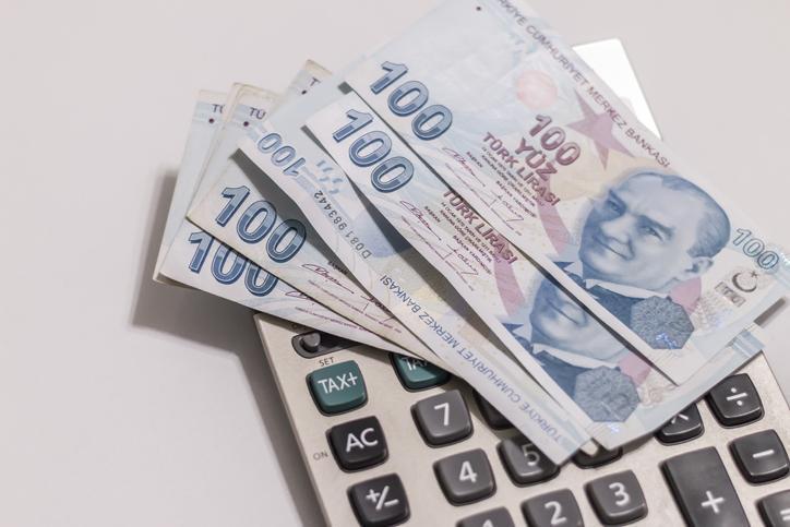2024 Şubat Aile Destek Ödemeleri Hakkında Bilgiler