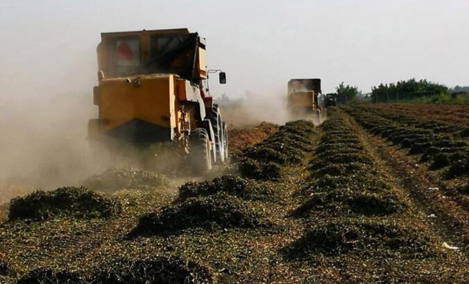 2024 Tarım ve Orman Bakanlığı 1500 Tarım İşçisi Alımı Duyurusu