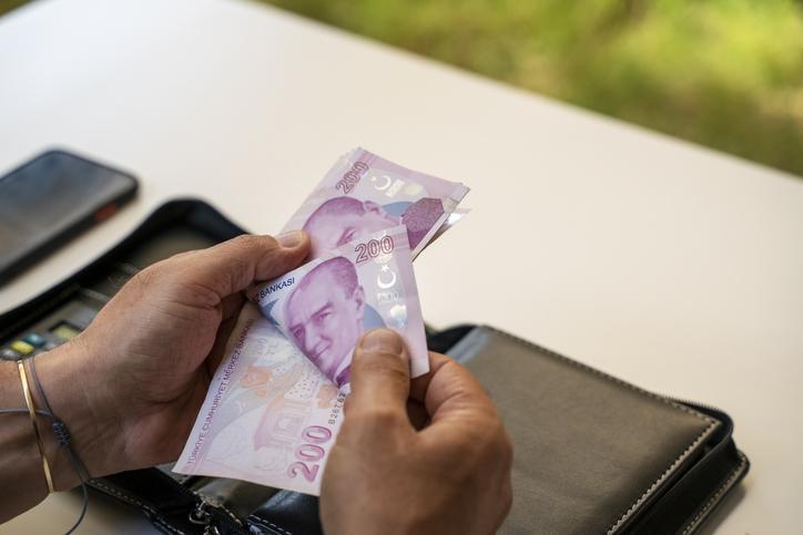 2024 Tarımsal Destek Ödemeleri Açıklandı