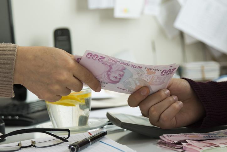 2024 Tarımsal Destek Ödemeleri Açıklandı