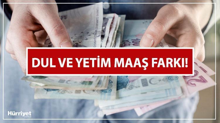 Dul ve Yetim Maaşları 2024 Yılı Artışları
