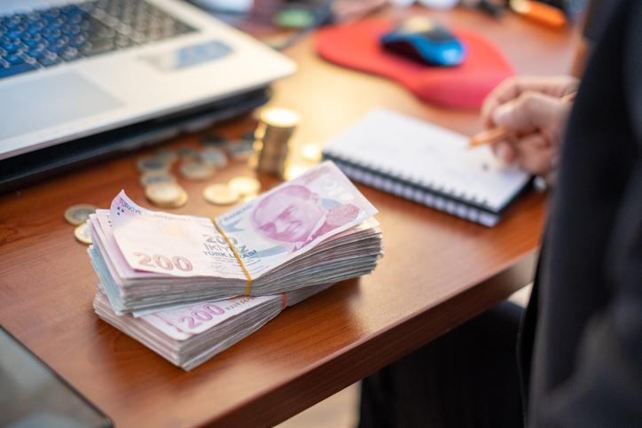 2024 Yılı Kamu İşçilerine Tediye Ödemeleri Belirlendi