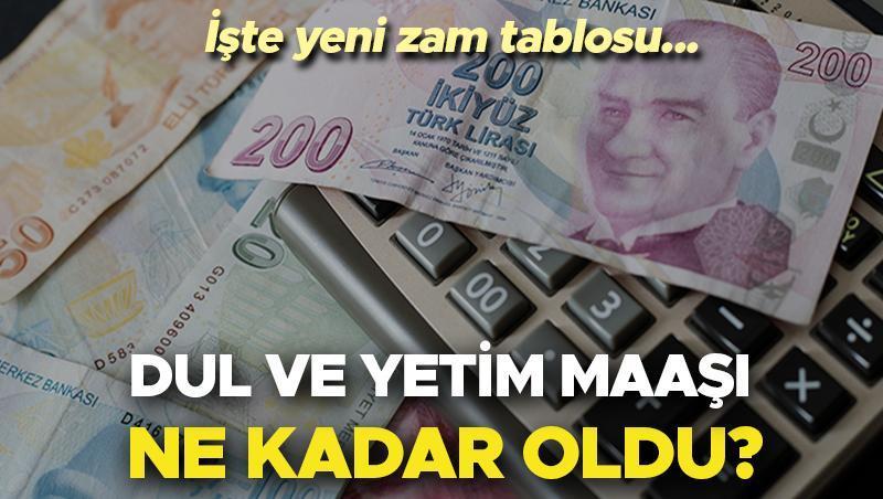 Yeni Yıl ve Yetim Maaşı 2024