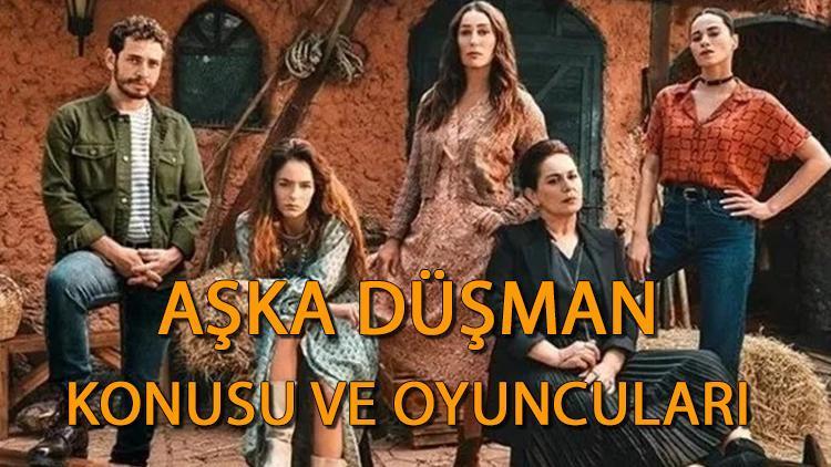 Aşka Düşman Dizi Hakkında