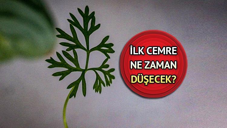 Cemrelerin Düşüş Tarihleri ve Anlamı