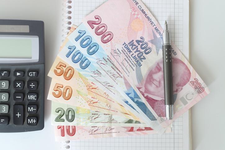 Enflasyon Farkı ve Maaş Zamları: 2024 Yılına Dair Bilgiler
