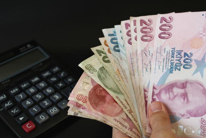 Enflasyon Farkı ve Maaş Zamları: 2024 Yılına Dair Bilgiler