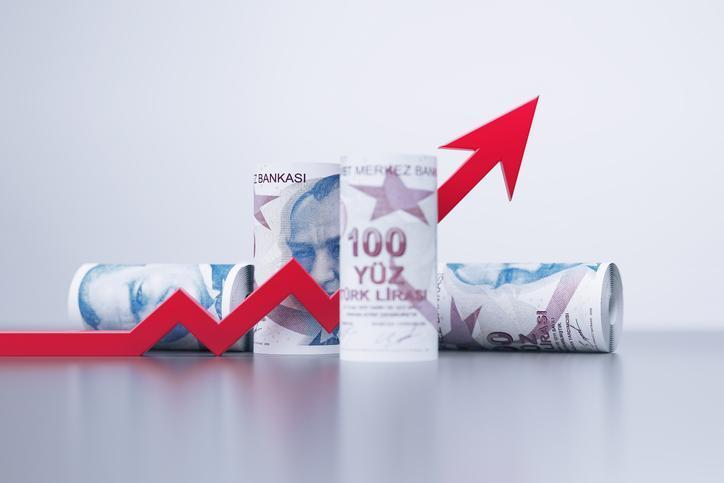 Merkez Bankası'nın Ocak 2024 Faiz Kararı ve Beklentiler