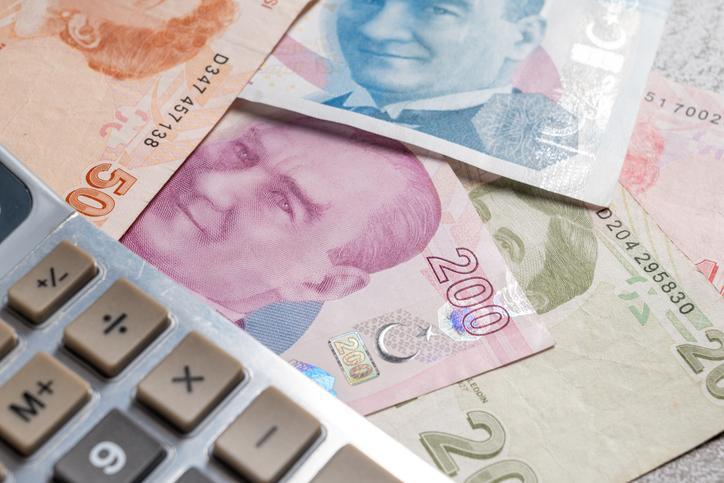 Merkez Bankası'nın Ocak 2024 Faiz Kararı ve Beklentiler
