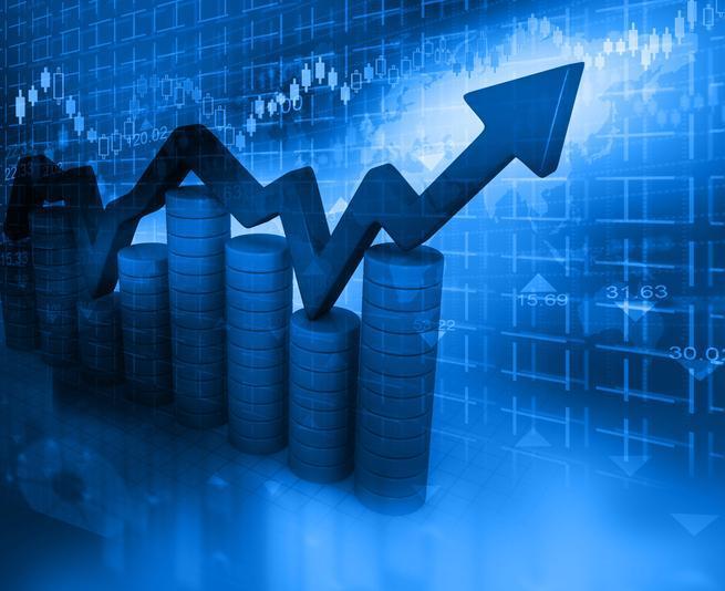 Merkez Bankası'nın Ocak 2024 Faiz Kararı ve Beklentiler