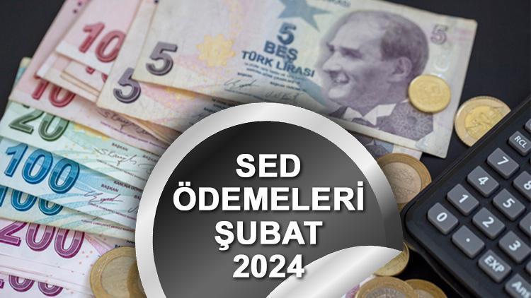 SED Yardımı Sorgulama Ekranı ve Şubat Ayı Ödemeleri